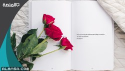 ابيات شعر مكتوبة عن عيد الفطر 2023
